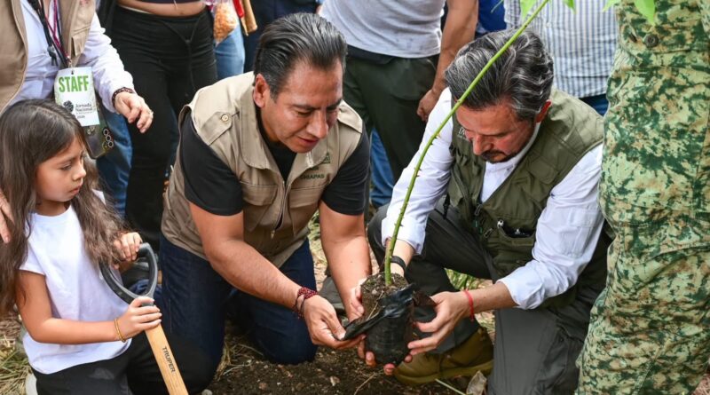 Con más de un millón de árboles, Chiapas se suma a Jornada Nacional de Reforestación impulsada por Claudia Sheinbaum