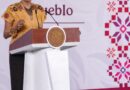 México rompe cinco récords en materia turística en primer semestre de 2026: Josefina Rodríguez