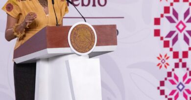 México rompe cinco récords en materia turística en primer semestre de 2026: Josefina Rodríguez