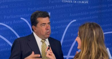 Pedro Haces Barba lleva al Consejo de Europa agenda global por la libertad de expresión