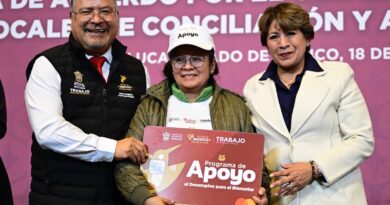 Gobierno de Delfina Gómez entrega más de 17 mil apoyos para el autoempleo y desempleo en el último año