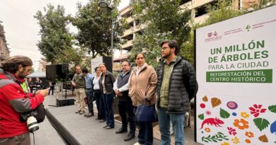 Ocesa y el México GP donan 2 mil árboles y 4 toneladas de composta para la reforestación urbana de la Ciudad de México Ocesa y el México GP donan 2 mil árboles y 4 toneladas de composta para la reforestación urbana de la Ciudad de México